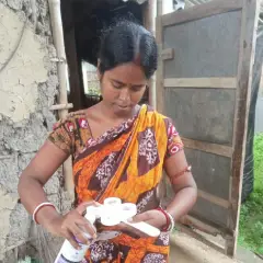 California Mastitis Test